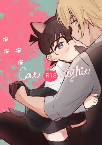 Cat night cover