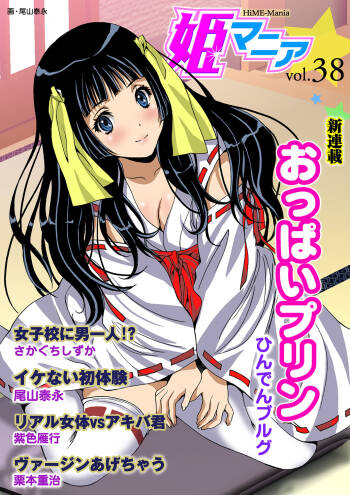 HiME-Mania Vol. 38 cover
