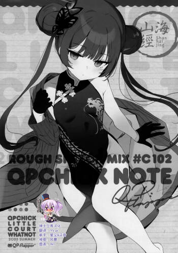QPCHICK NOTE ROUGH SKETCH MIX cover
