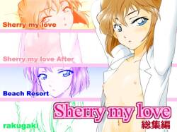 [OTOHIMEDOU (Otumaru)] Sherry my love Soushuuhen (Detective Conan) [Chinese]