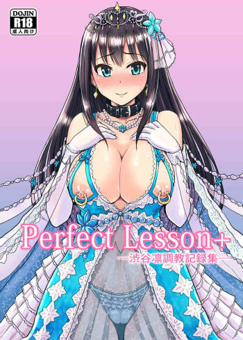 Perfect Lesson＋ -Shibuya Rin Choukyou Kirokusyu - cover