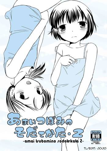 Amai Tsubomino Sodatekata 2 cover