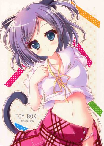 TOY BOX cover