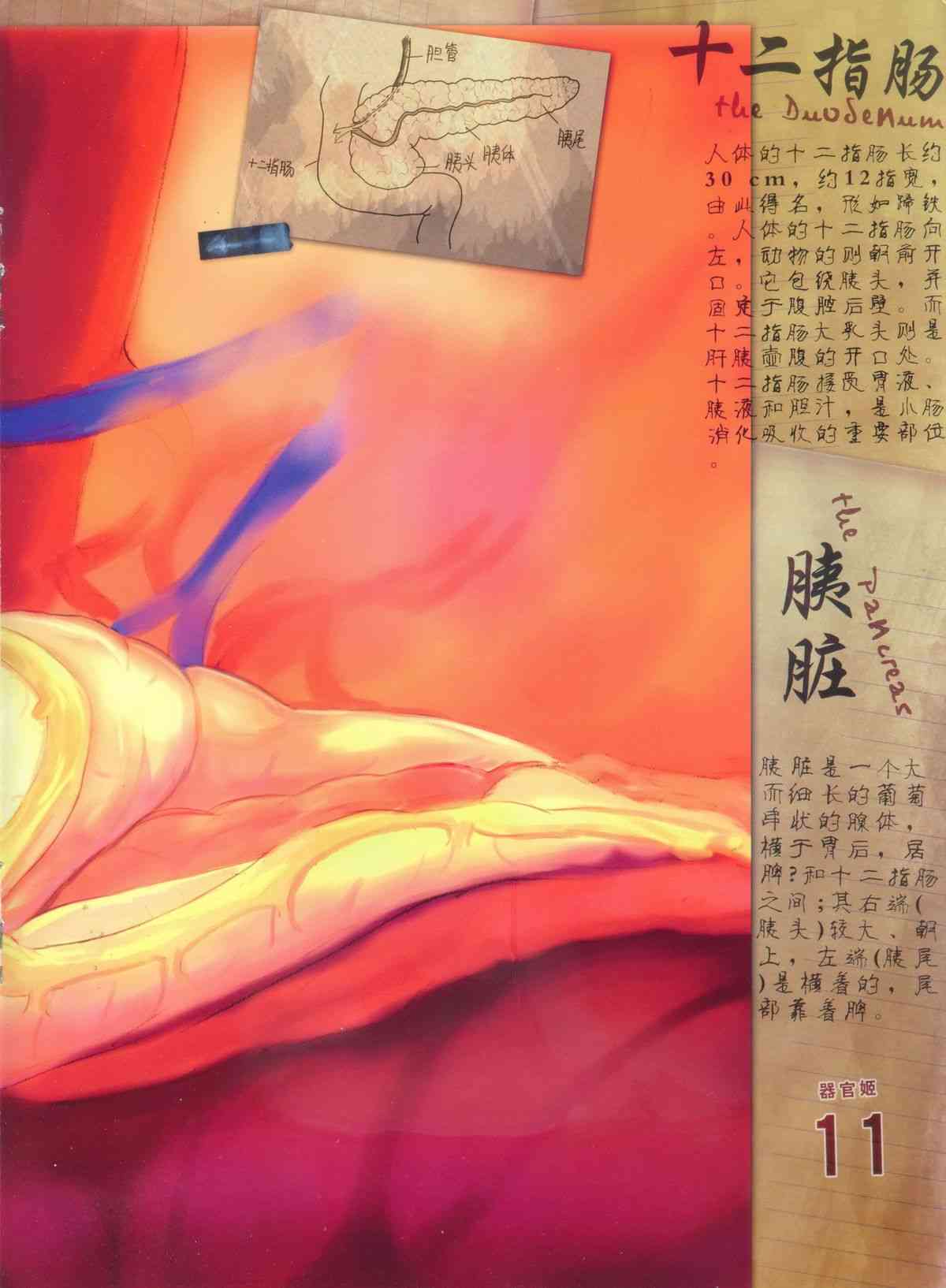 器官姬3 page 4 full