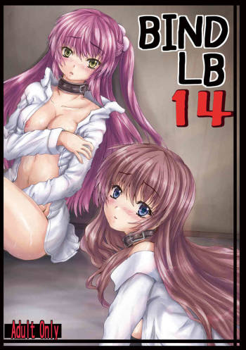BindLB14 cover