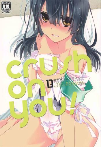 crush on you! cover