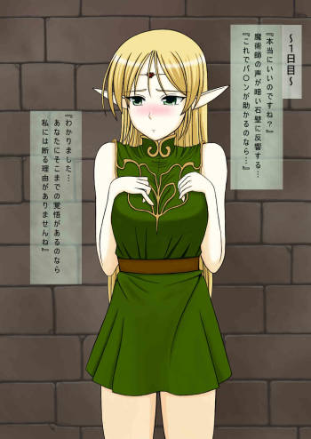 Record of Lodoss War ~Heroine Insult Collection IV~ Cum on the blonde elf cover