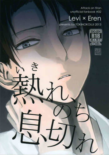 Ikire, nochi Ikigire II cover