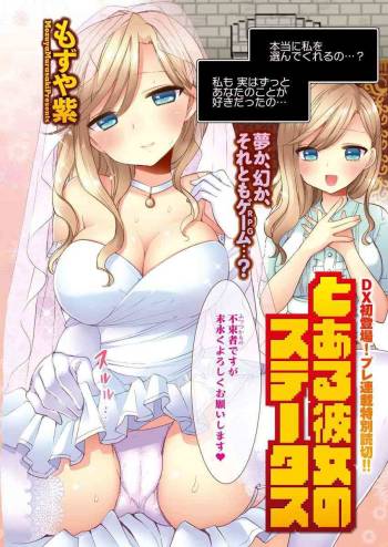 Toaru Kanojo no Status cover