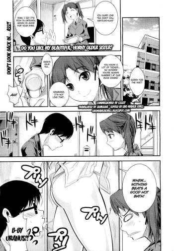 Kirei de Yarashii Oneesan wa, Suki Desuka? | Do You Like My Beautiful, Horny Older Sister? cover
