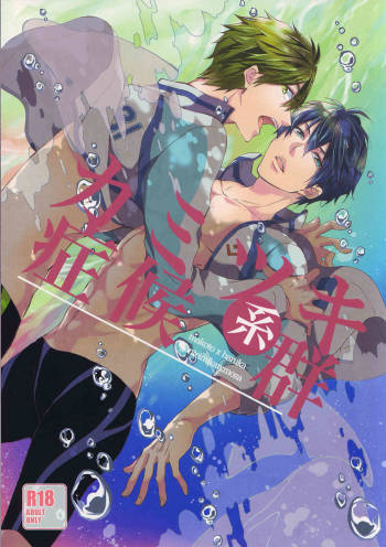 Kamitsuki Kei Shoukougun cover