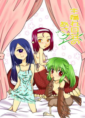 Komorebi Sou no Asa. cover