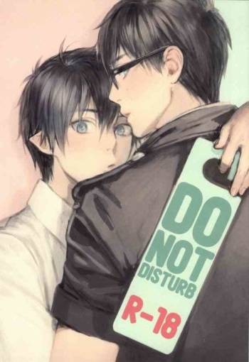 DO NOT DISTURB cover