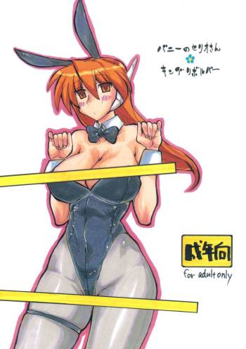 Bunny no Serio-san cover