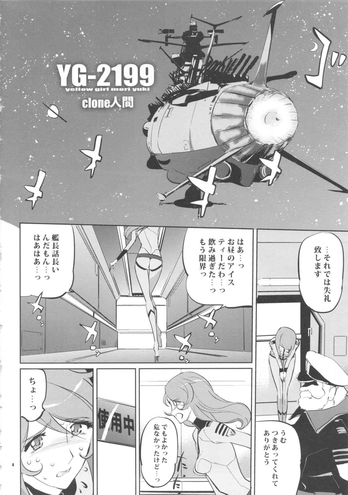 YG-2199 page 3 full
