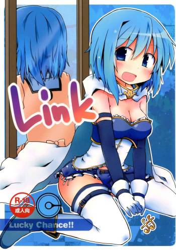 Link cover