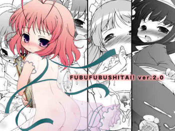 Fubu Fubu Shitai! ver2.0 cover