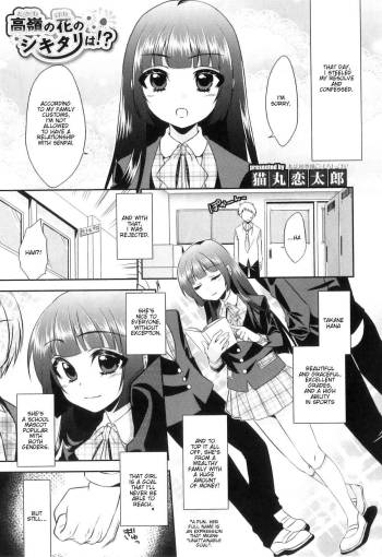 Otokonoko Heaven Vol. 8 - Takane no Hana no Shikitari Wa?! cover