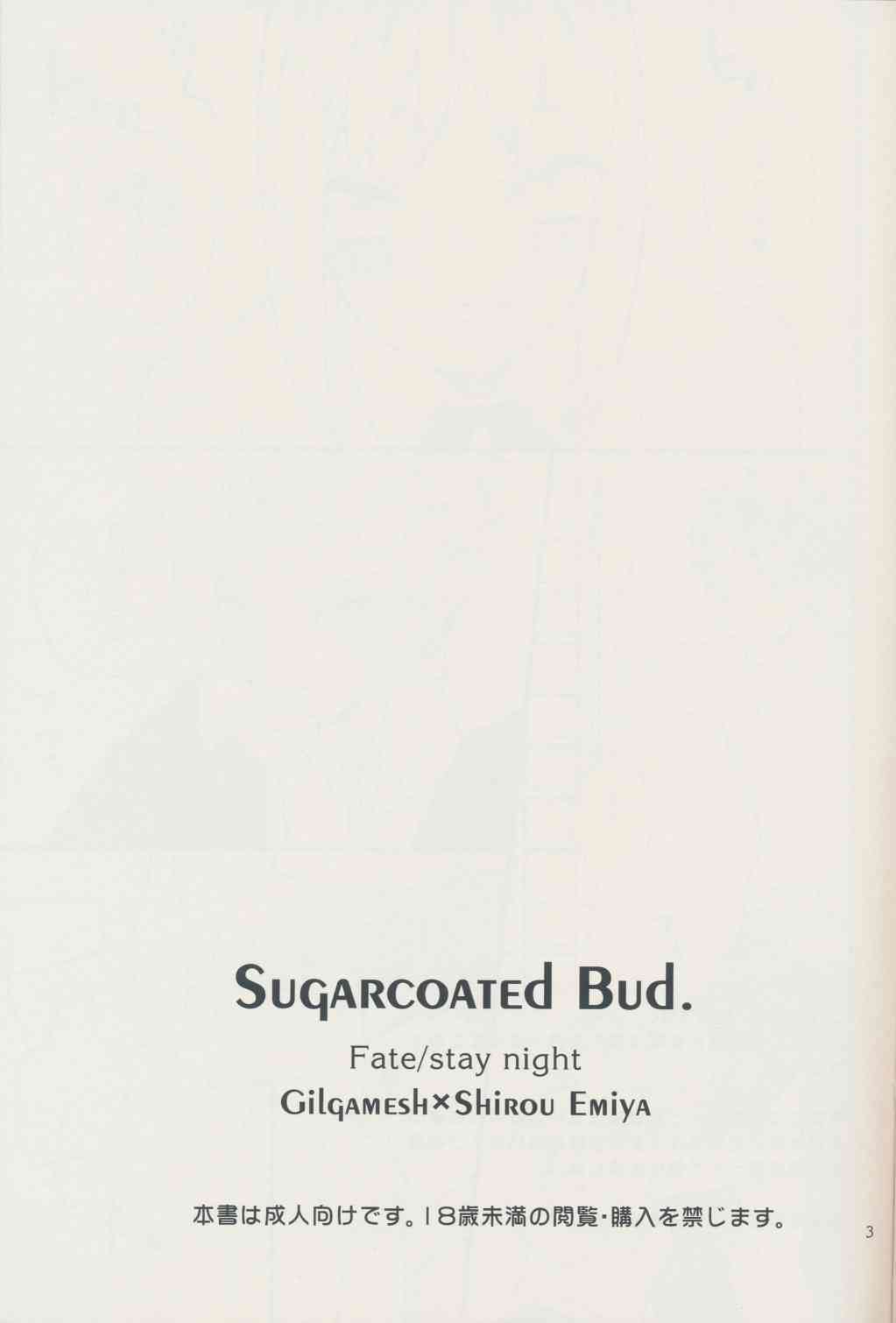 Sugarcoated Bud page 3 full