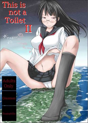 This is not a Toilet II cover