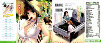 Colorful Harvest cover