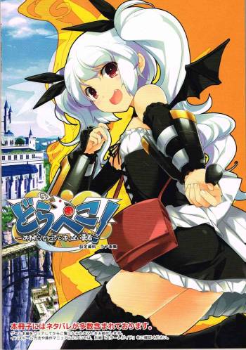 どらぺこ！ ～おねだりドラゴンとおっぱい勇者～ 初回特典 設定資料集 cover