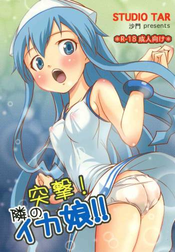 Totsugeki! Tonari no Ika Musume!! cover