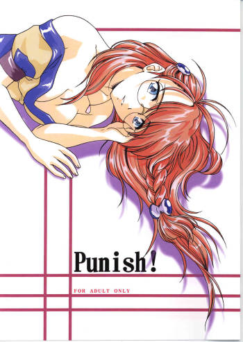 Punish! cover
