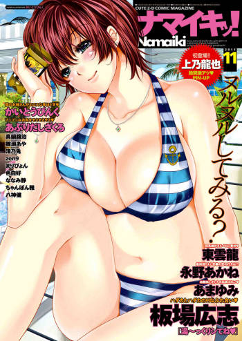 COMIC Namaiki! 2011-11 cover