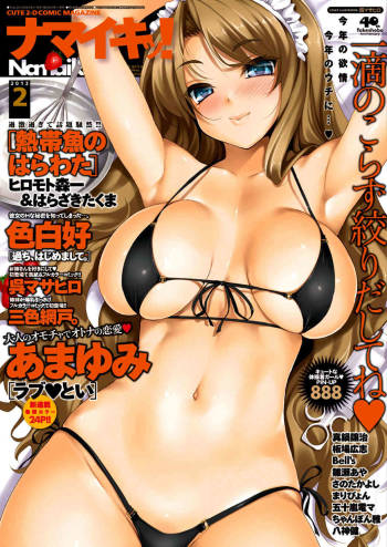 COMIC Namaiki! 2012-02 cover