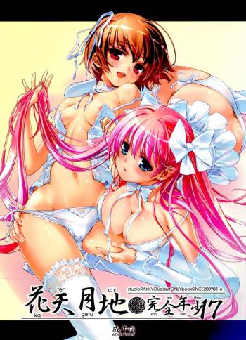 Kanzen Nenshou 17 Kantengecchi 2nd Edition cover