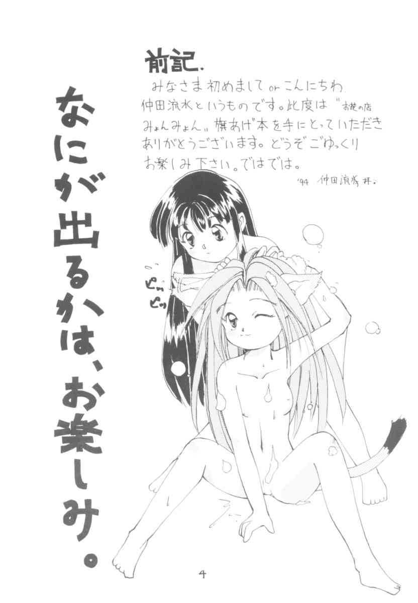 Touhou Huhai page 3 full