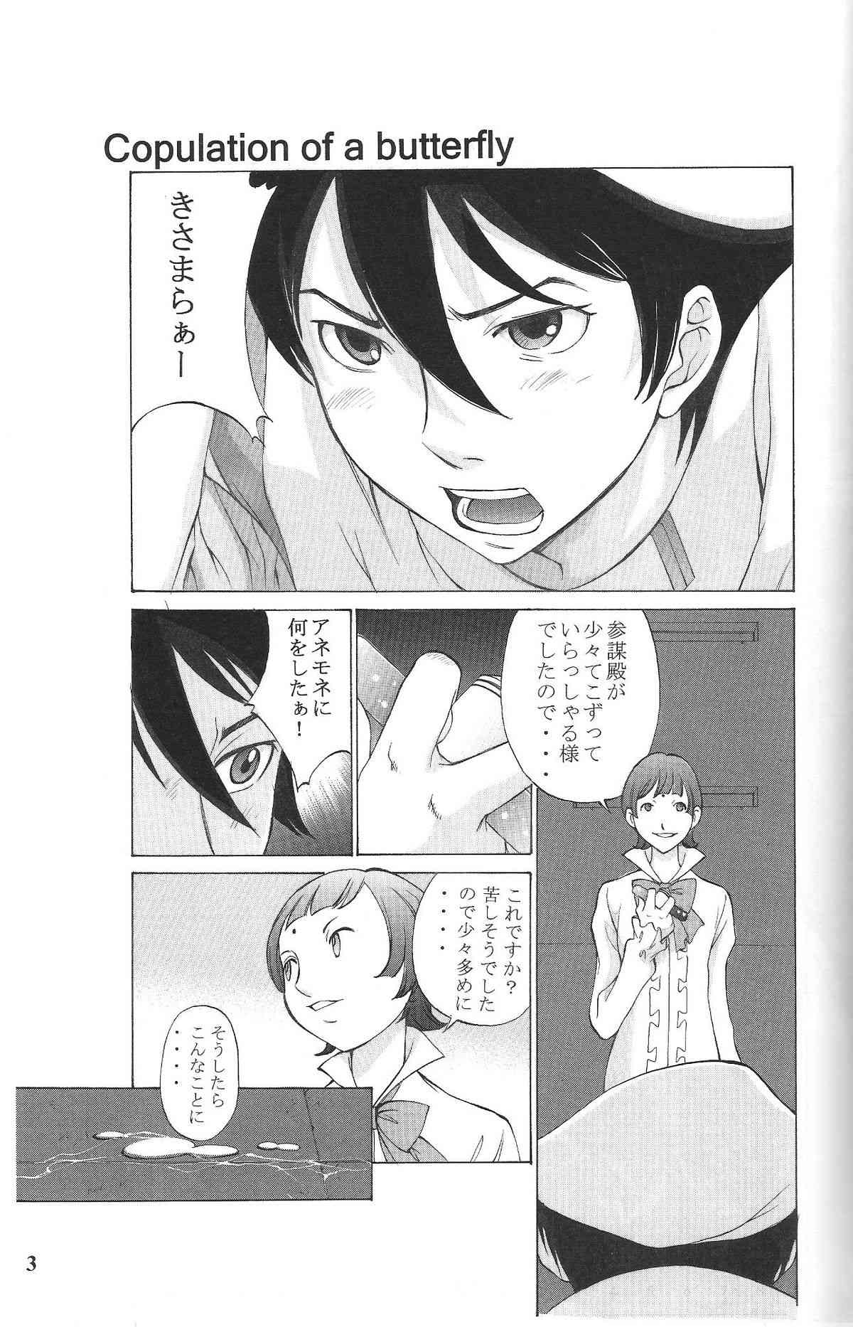 wind flower page 2 full