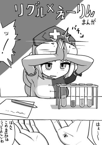 ふたなリグル×ふたなえーりん漫画 cover