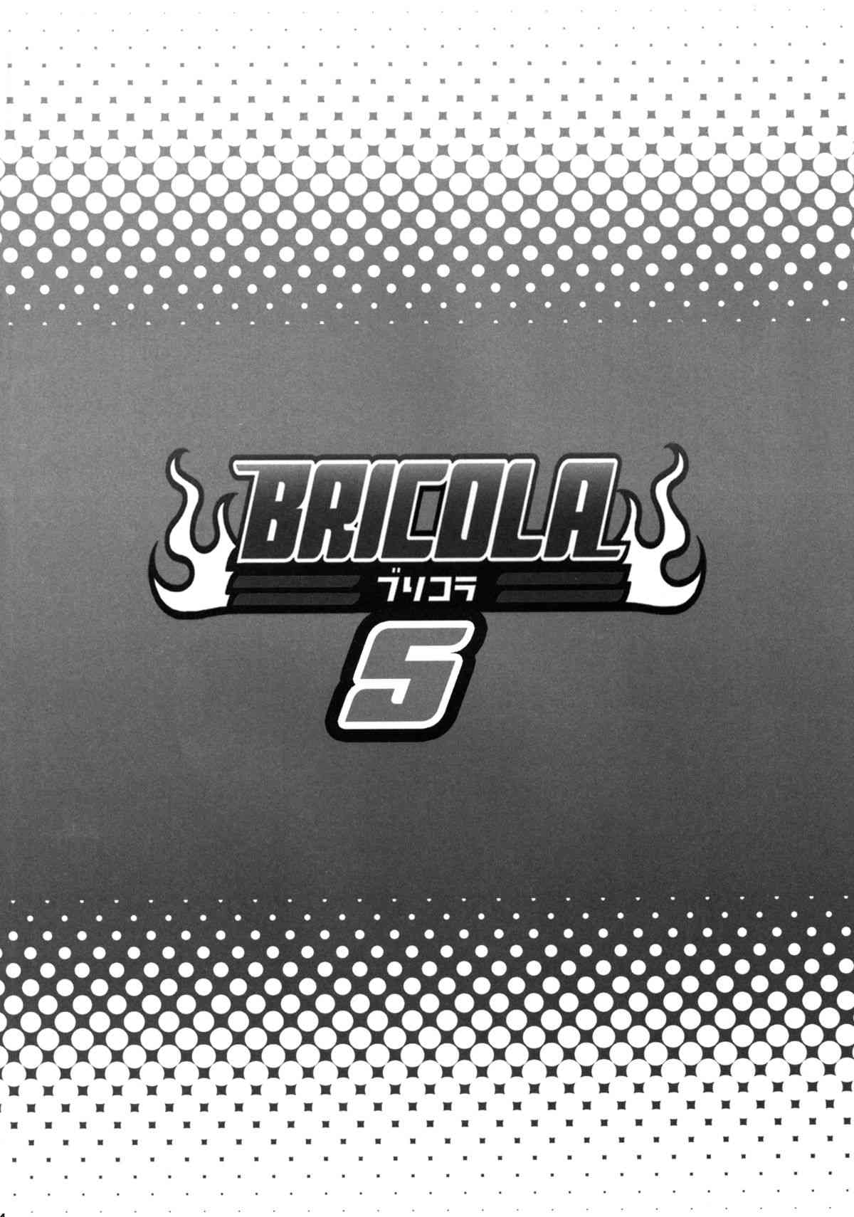 BRICOLA 5 page 3 full