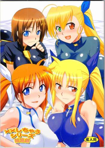 XX Shichau Series Soushuuhen cover
