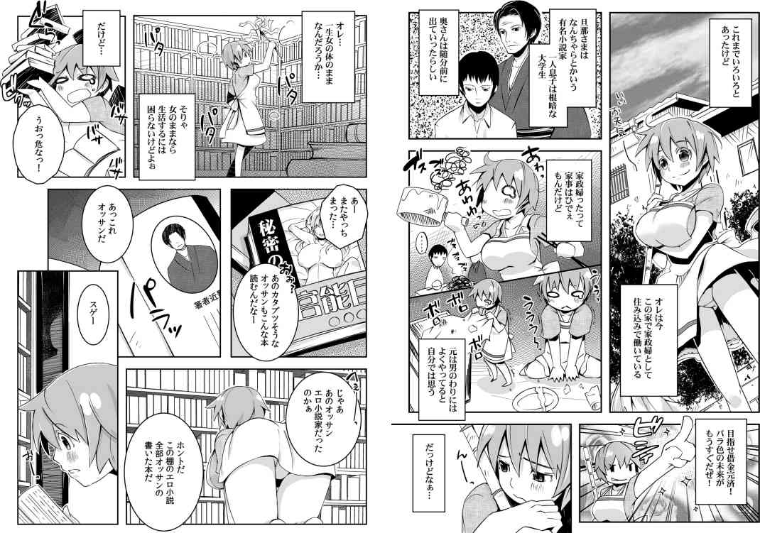 Oppai de Kane ga Kaeseru nara, Ore wa Onna no Mama de Ii! 2 page 2 full