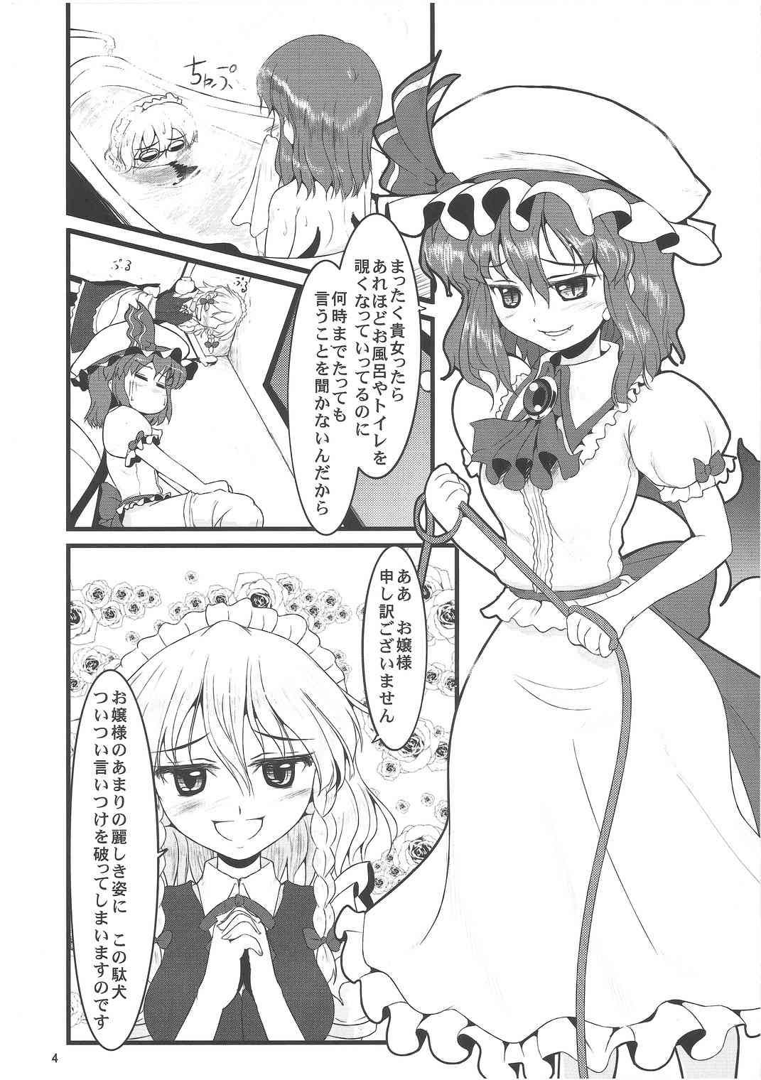  page 3 full