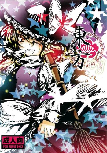 Touhou log cover