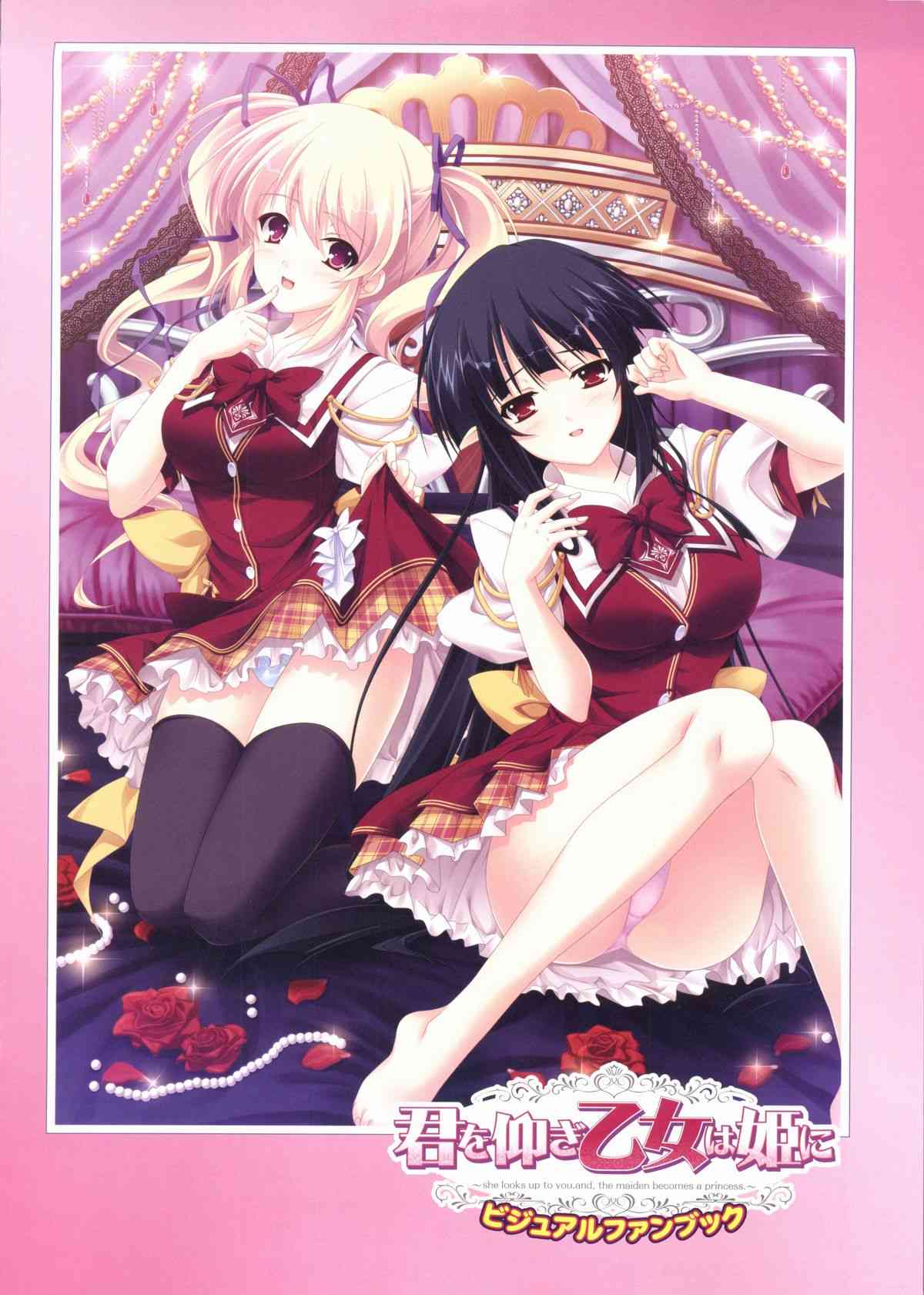 Kimi wo Aogi Otome wa Hime ni Visual Fan Book page 3 full