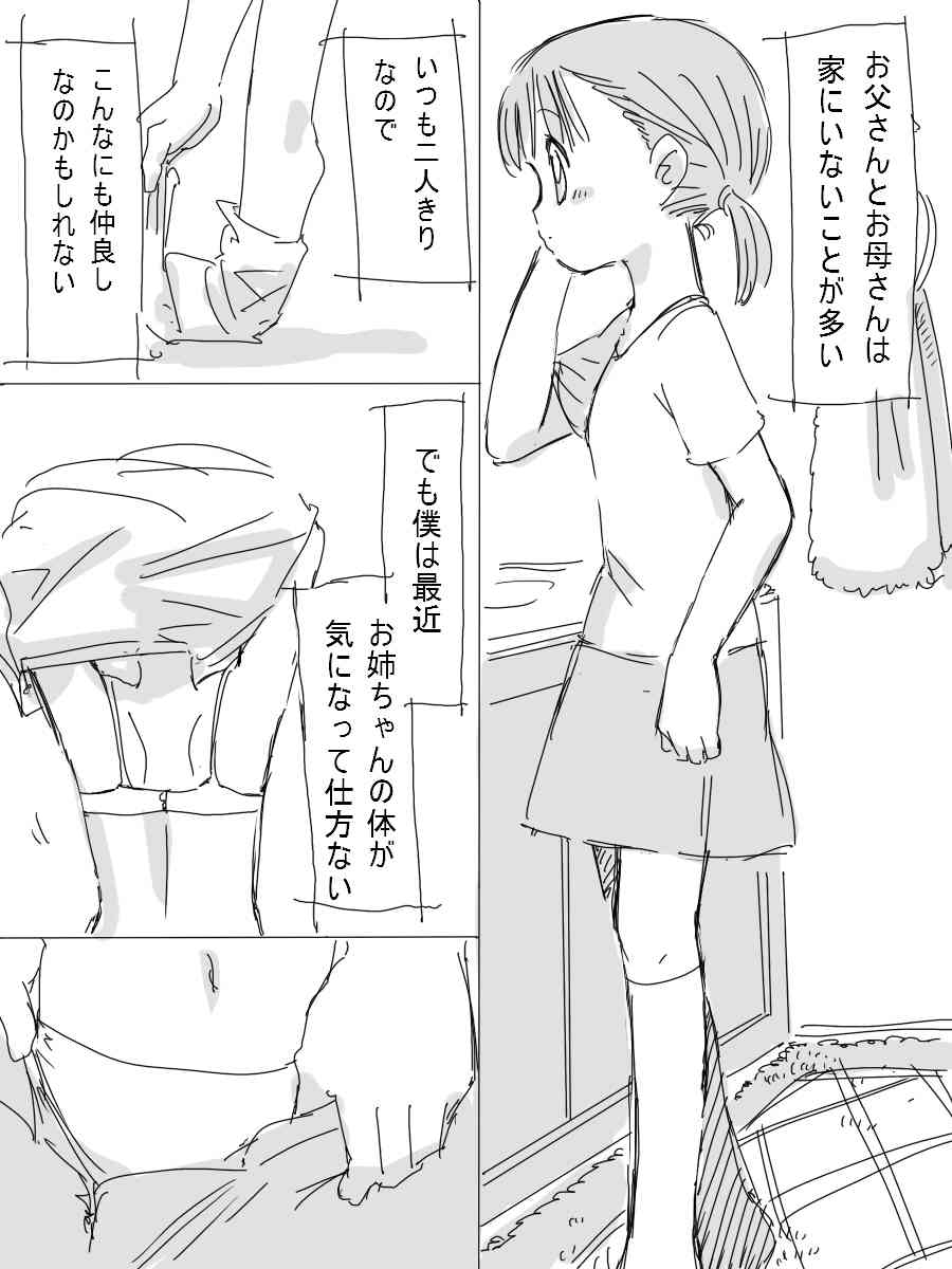 北極企画 僕の優しいお姉ちゃん page 3 full