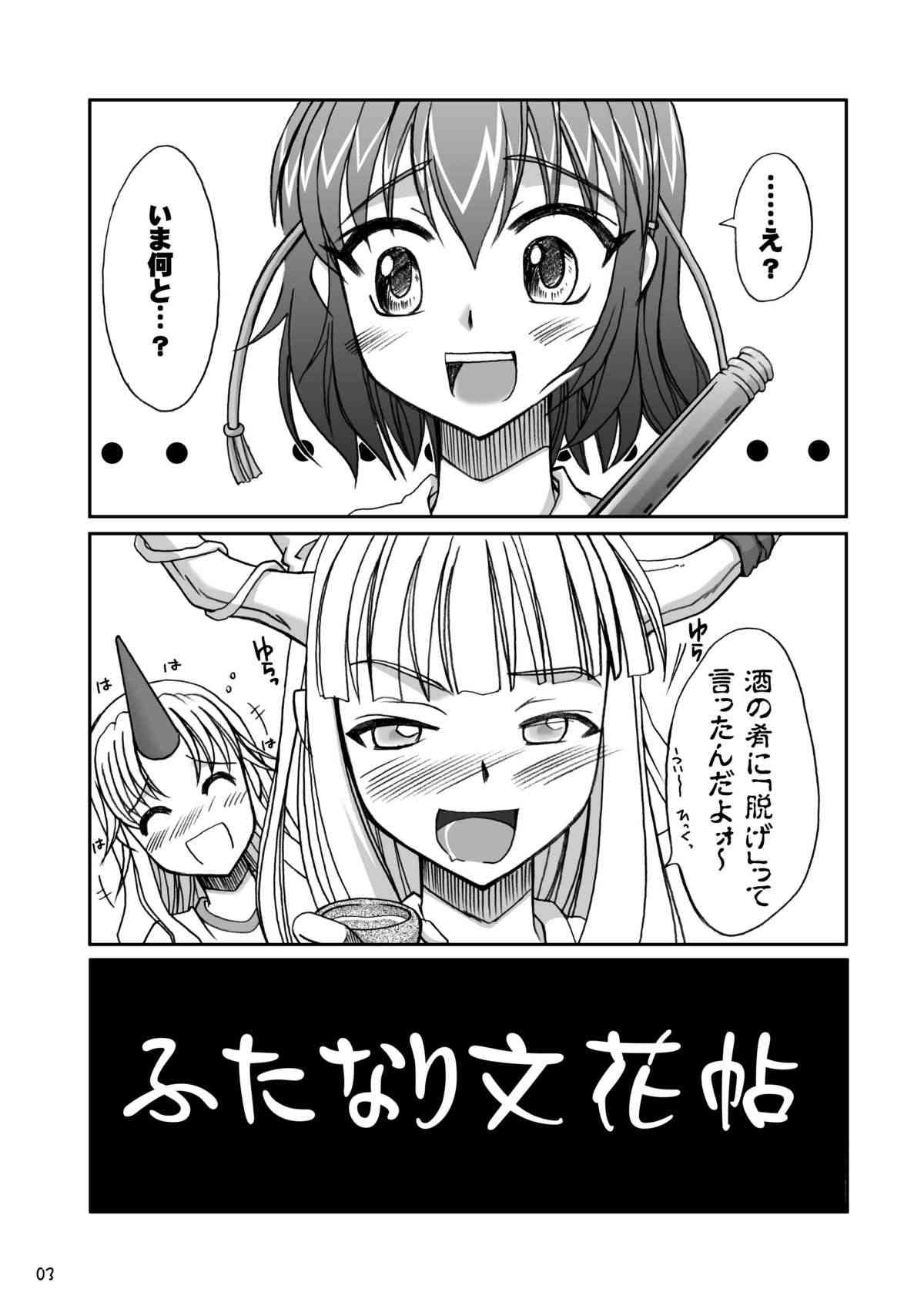  page 3 full