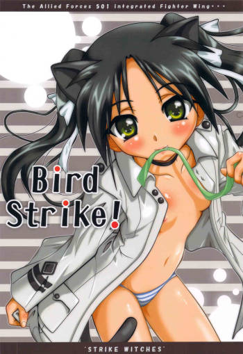 Bird Strike! cover