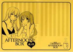 Afternoon Box