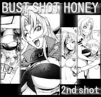 Bust Shot Honey '2nd Shot' cover