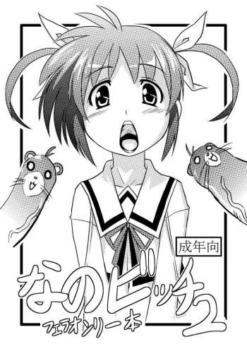 Nano Bitch 2 cover