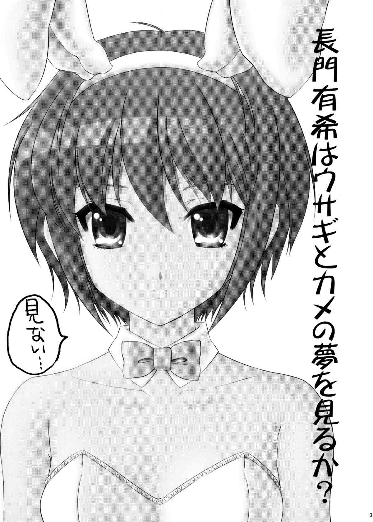 Nagato Yuuki wa Usagi to Kame no Yume wo Miru ka? page 2 full