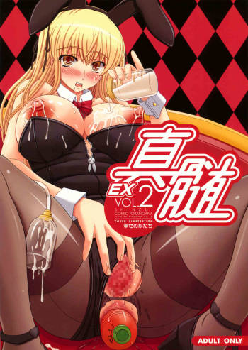 Shinzui EX vol.2 cover