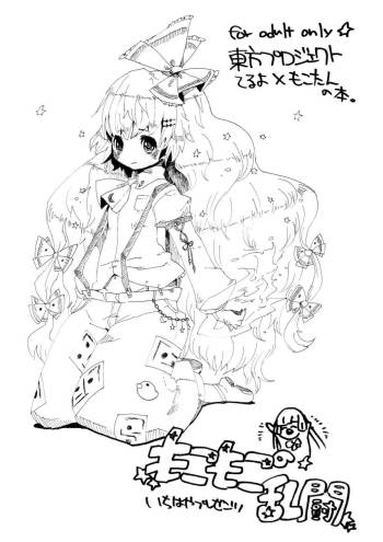 東方プロジェクト てるよ×もこたんの本 cover