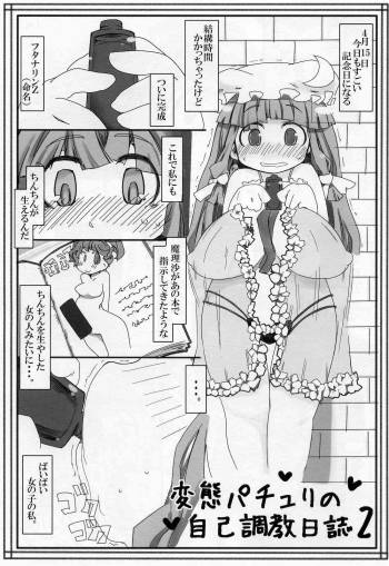 Hentai Patchouli no Jikochoukyou Nisshi 2 cover